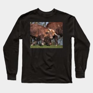 Bulls Long Sleeve T-Shirt